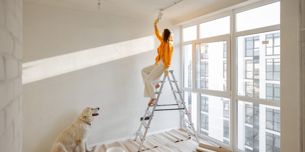 woman-with-dog-renovating-house-XPHM42T (2)